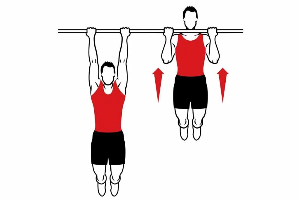 Техника подтягивания на турнике обратным хватом. Pull ups and Chin ups. Подтягивание на перекладине обратным хватом. Схема подтягивания на турнике обратным хватом. Хват снизу