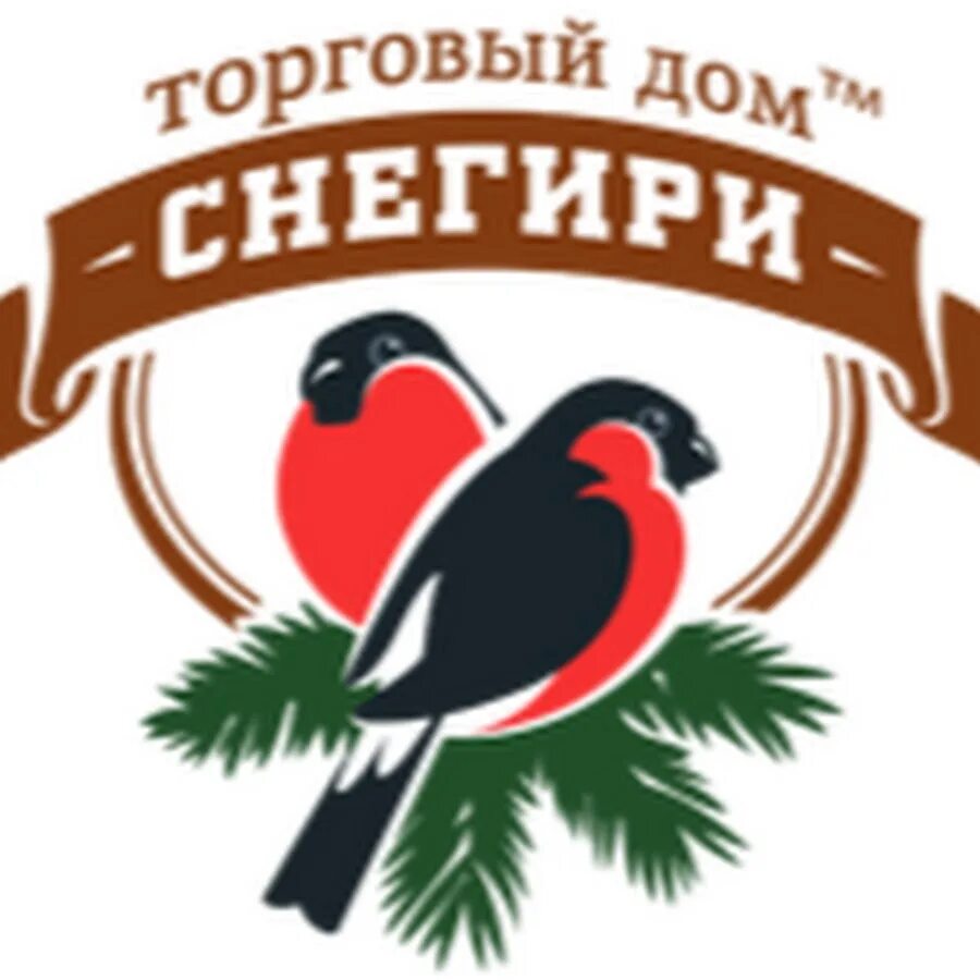 Снегирь логотип. Снегириная стая. Снегирь самара. Такси болотное номера. Такси снегири болотное.