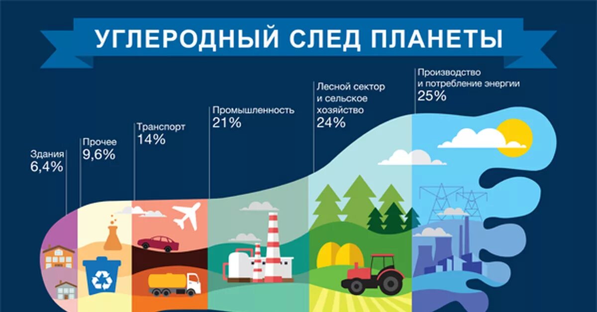 Углеродный след. Снижение углеродного следа. Углеродный след человека. Экология углеродный след.