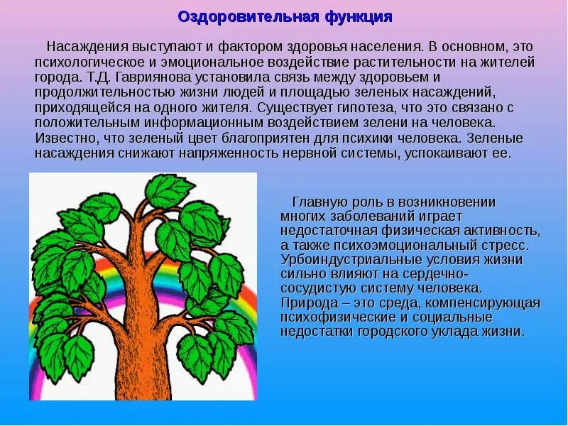 Функции насаждений. Функции зеленых насаждений. функции лесонасаждений. культурно оздоровительные функции земли. роль зеленых насаждений в оздоровлении условий жизни.