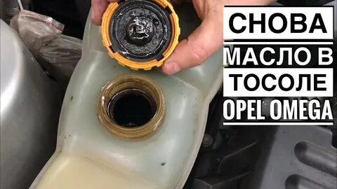 Масло в антифризе опель