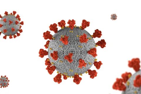 Big virus