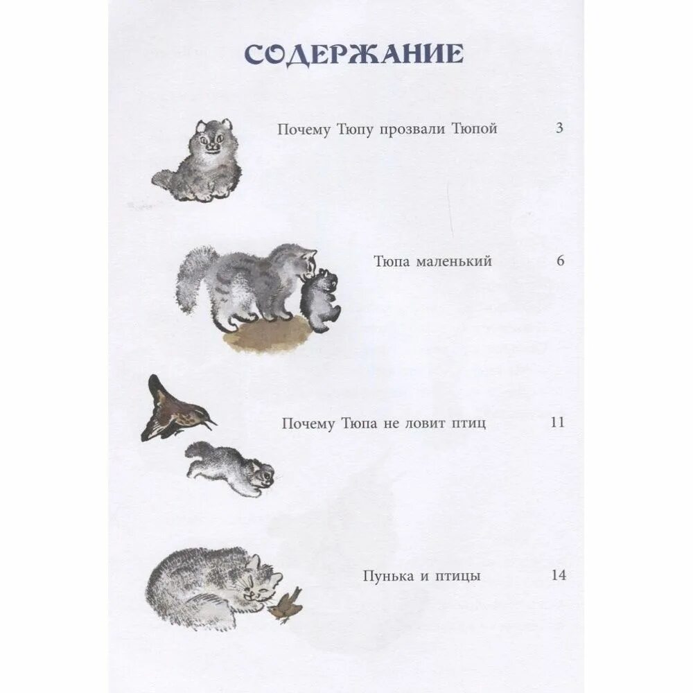 Почему тюпу прозвали тюпой. Е. и. чарушина &quot;почему тюпа не ловит птиц&quot;. чарушин пунька и птицы. почему тюпу зовут тюпой.