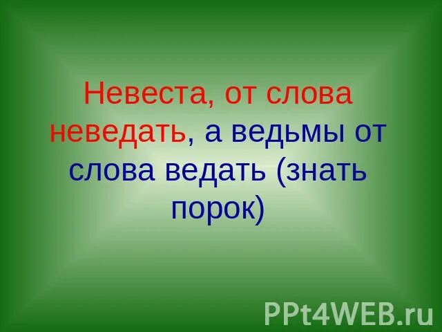 Город невест текст. Этимология слова ведьма. Ведьма от слова ведать. Слова ведьм. Что значит слово ведать.