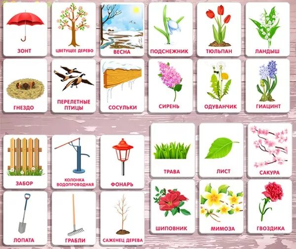 Карточки признаки весны. Весенние карточки для детей. Имена обозначающие весну