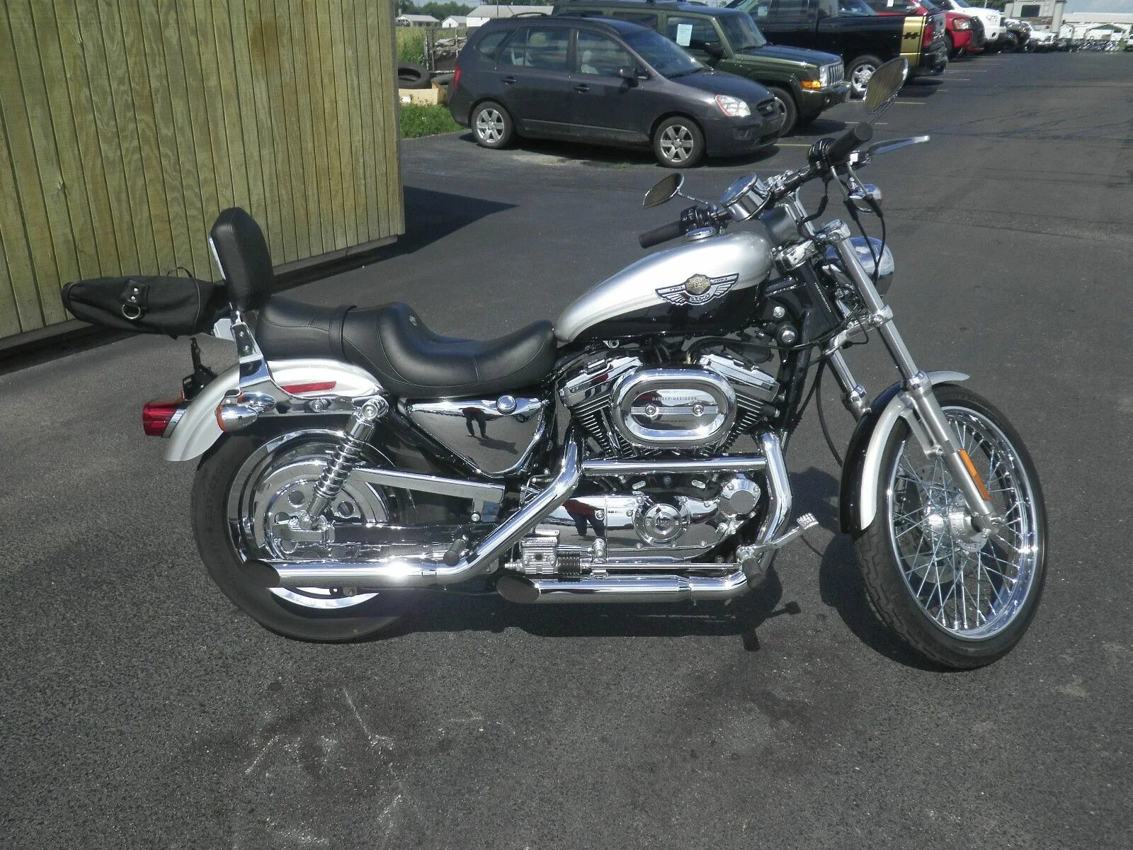 Harley davidson 2003. Harley Davidson Sportster 2003. Sportster 1200 2003. 2003 Harley Davidson XL 1200 100. Харлей Дэвидсон спортстер 2003.