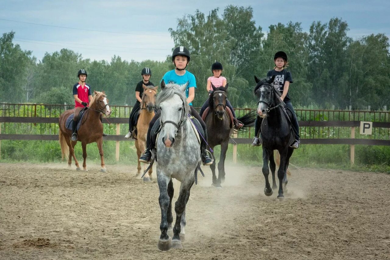 кск ели. кск ели. конный спорт соревнования конкур. кск ели. манеж битца.