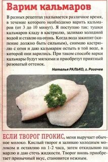 Как сварить тушки кальмара