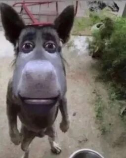 Xotinlar yashirin kamerani onanizm bilan shugullanishadi