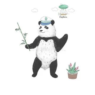 Captain panda
