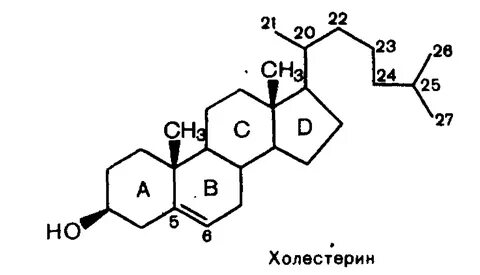 Формула холестерина