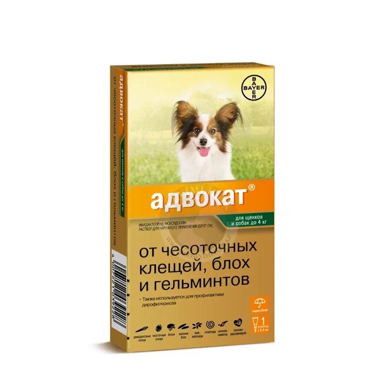 Капли на холку от ушного клеща. Капли на холку от ушного клеща