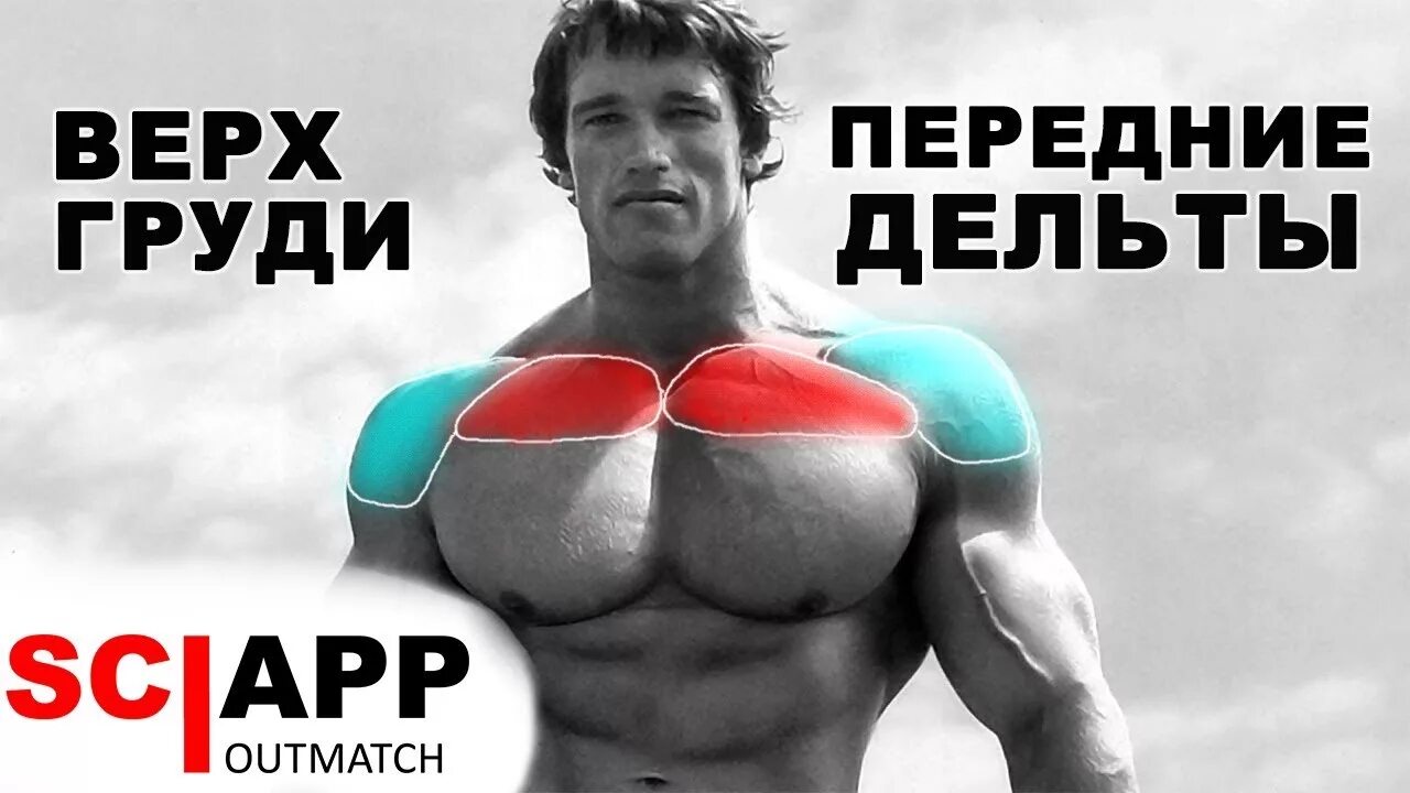 Как накачать переднюю дельту