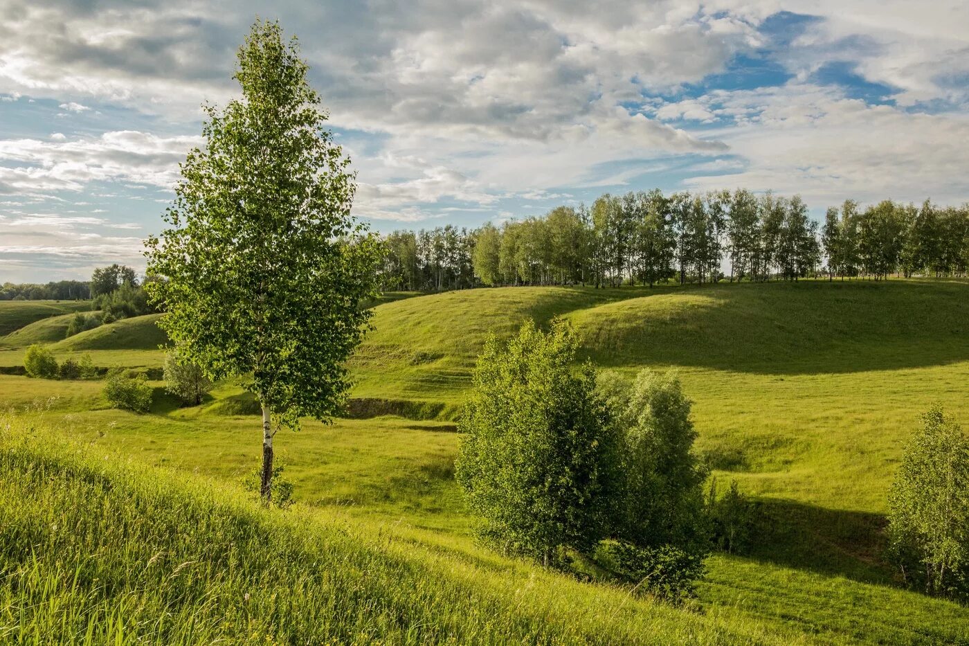 Каким будет лето татарстане. Природа Татарстана Татарстана. Удмуртия Холмистая равнина. Природа , Республика Татарстан (Татарстан). Алексеевский район Республика Татарстан пейзаж природа.