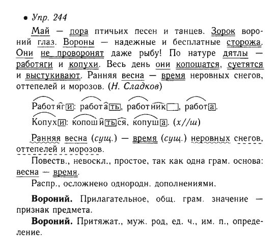 Упр 244 4 класс 2 часть. Упр 244 по русскому языку. Упр 244 по русскому языку 3 класс. Русский язык 6 класс 244.