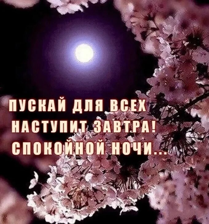 Доброго вечера и спокойствия в душе. Вечер наступил. Доброй ночи завтра увидимся. Доброй ночи пожелания душевные и теплые. Вот и вечер наступил.