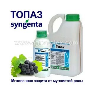 Топаз время обработки