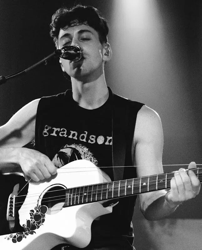 Нью йоркские певцы. Инди рок. Роквилл хед рок. Des rocs. Des rocs группа.