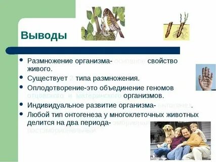 Размножение свойств всех живых организмов