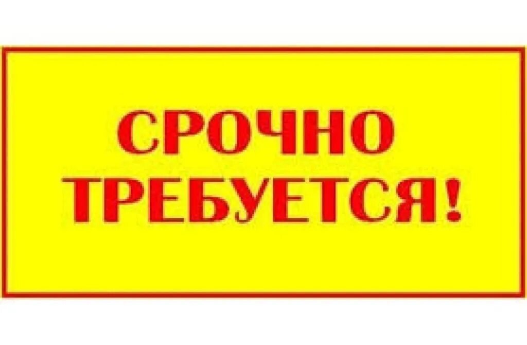 Срочная работа подработка
