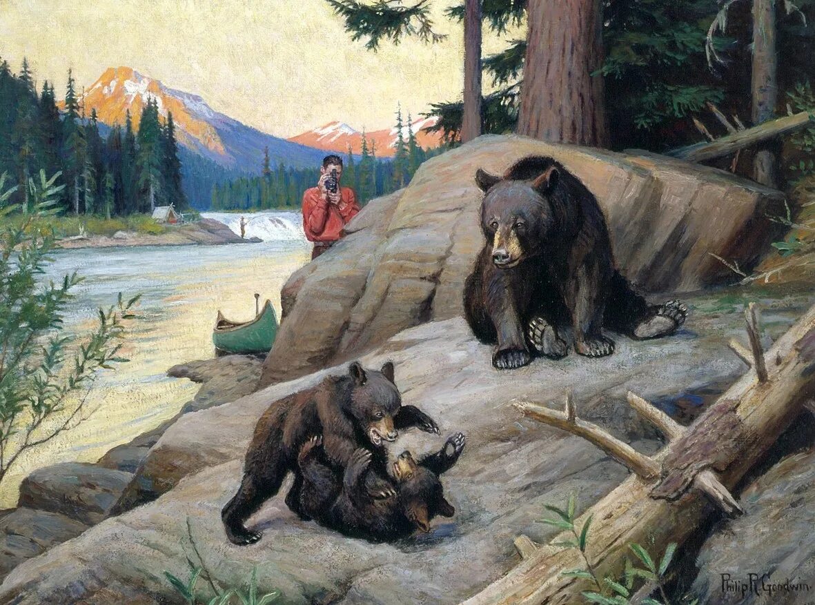 Собака привела трех медведей