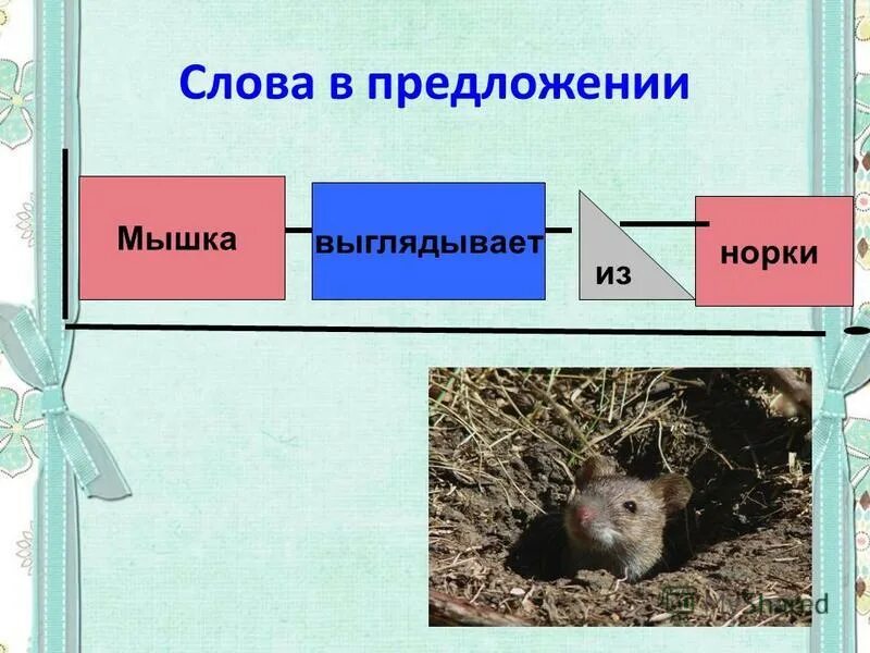 Мышь предложения. Предложение про мышонка. Предложение про мышь. Предложение про мышку. Предложение про мышь 3 класс.