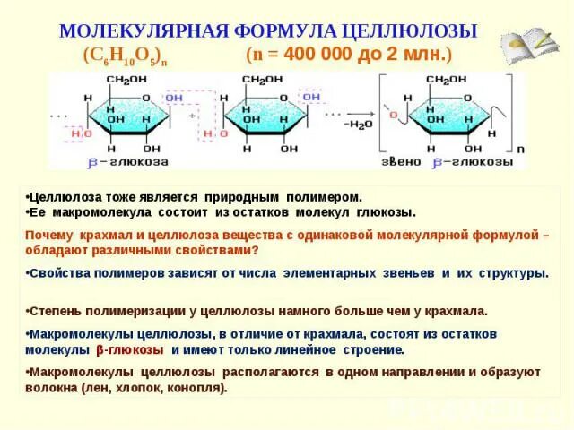 Молекулярная формула целлюлозы. Формула целлюлозы в химии. Строение макромолекулы крахмала и целлюлозы. Крахмал структурная формула.