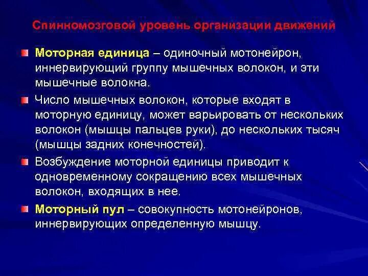 Двигательная единица мышцы классификация. Понятие о двигательной единице. Типы двигательных единиц физиология. Схема двигательной единицы физиология. Понятие о моторной единица виды.
