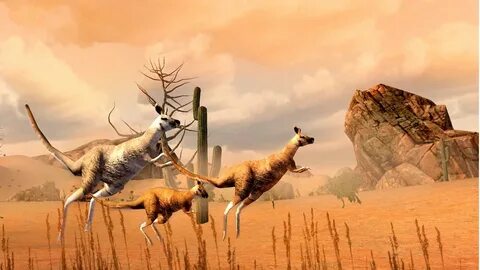 Wildlife build