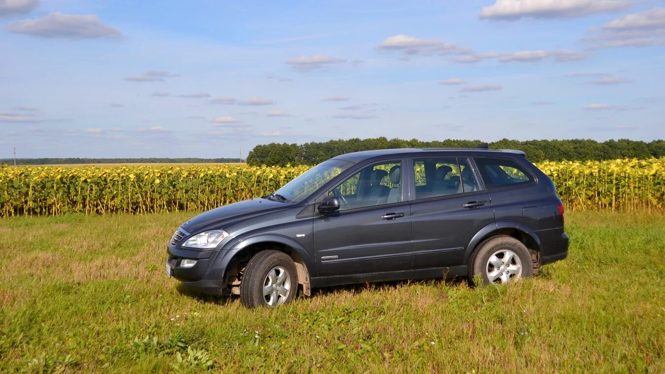 Саньенг кайрон отзывы владельцев. Саньенг Кайрон. SSANGYONG Kyron 2014 2,3. SSANGYONG Kyron 2013. SSANGYONG Kyron сбоку.