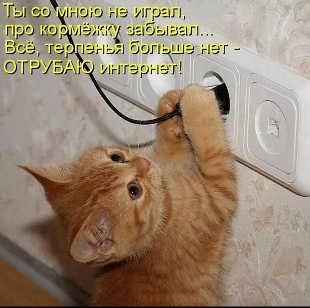 Покажи что нибудь пожалуйста