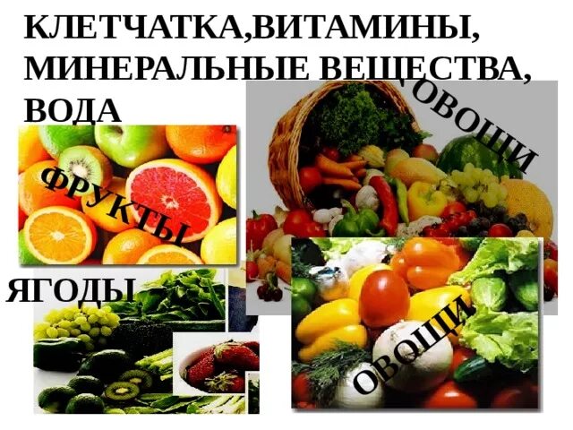 Витамины нутрилайт амвей. Клетчатка какой витамин. Витамины волокна. Источники клетчатки в продуктах. Пищевыt волокнами&.