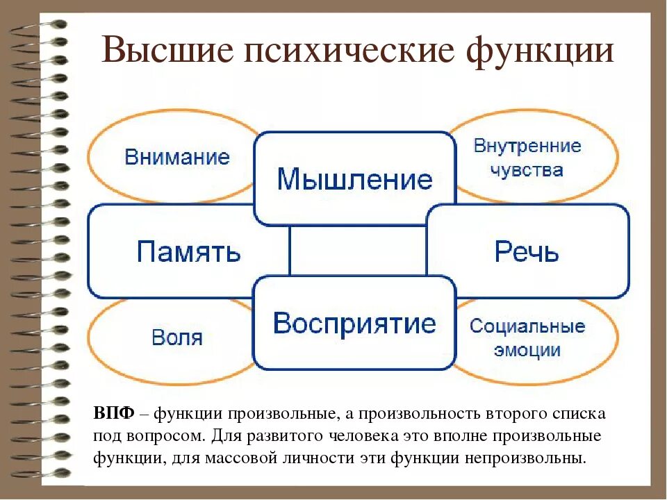 Психологическая функция человека. Что относится к высшим психическим функциям. К высшим психическим функциям относят. Высшие психические функции это в психологии. Список высших психических функций.