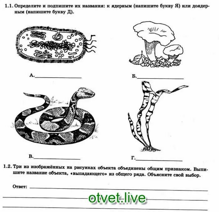 Название объекта выпадающего из общего ряда. Объекты Объединенные общим признаком. Три изображенных объектов объединены общим признаком. Четыре изображенных на рисунках объекта объединены общим признаком.