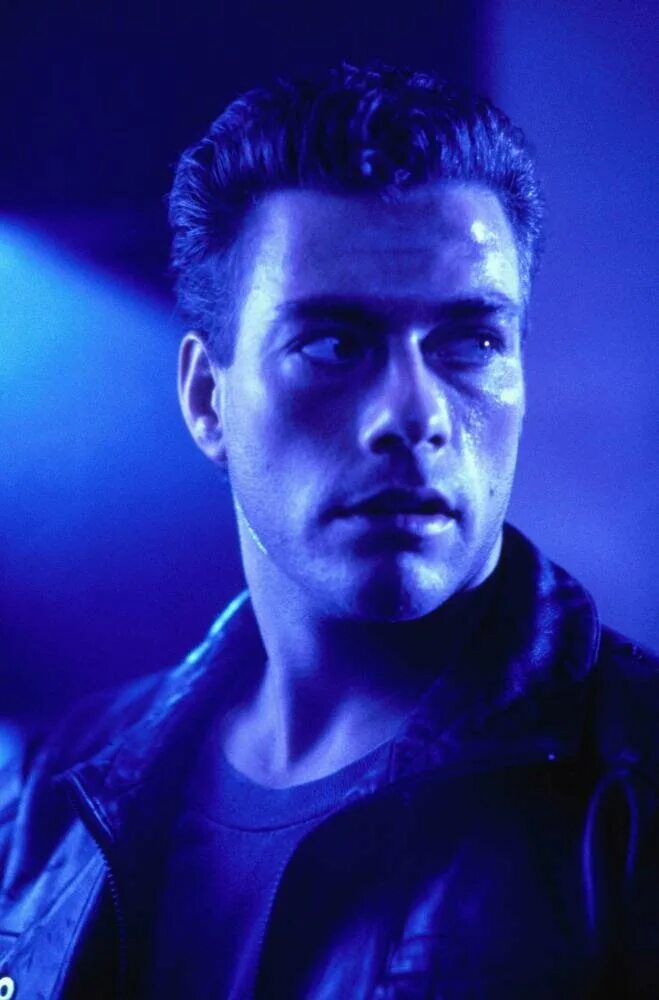 Вандам ордер