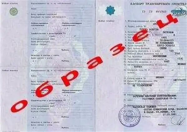 Забрали птс