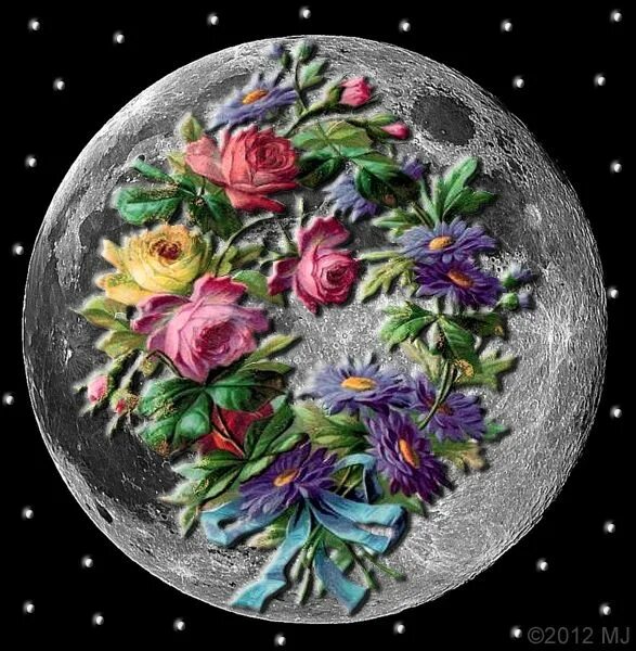 Почему цветочной луны. Мун Фловер. Цветочная Луна. Цветочное полнолуние. Цветочная Луна цветок.