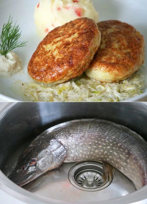 Биточки из щуки. Котлеты из щуки сочные и мягкие. Котлеты из щуки сочные и мягкие. Биточки из щуки. Вкусные щучьи котлеты.