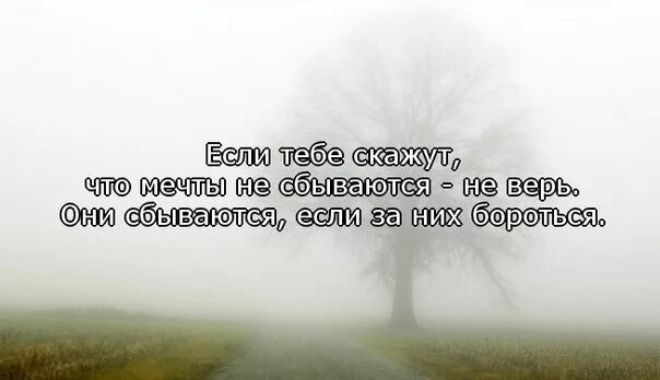 Верь в мечту. Верьте в мечты они сбываются. Если тебе не верят цитаты. Верь в свою мечту. Всегда верь в мечту