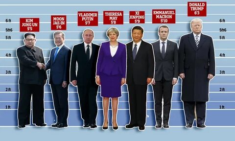 True height