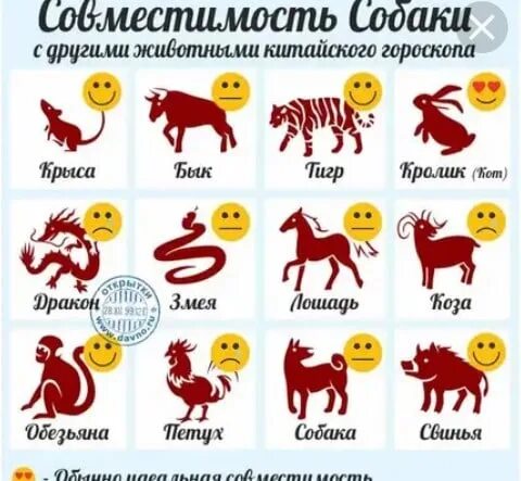 Годы животных. Собака по восточному календарю. Знаки зодиака собаки. 1982 Год по восточному гороскопу.