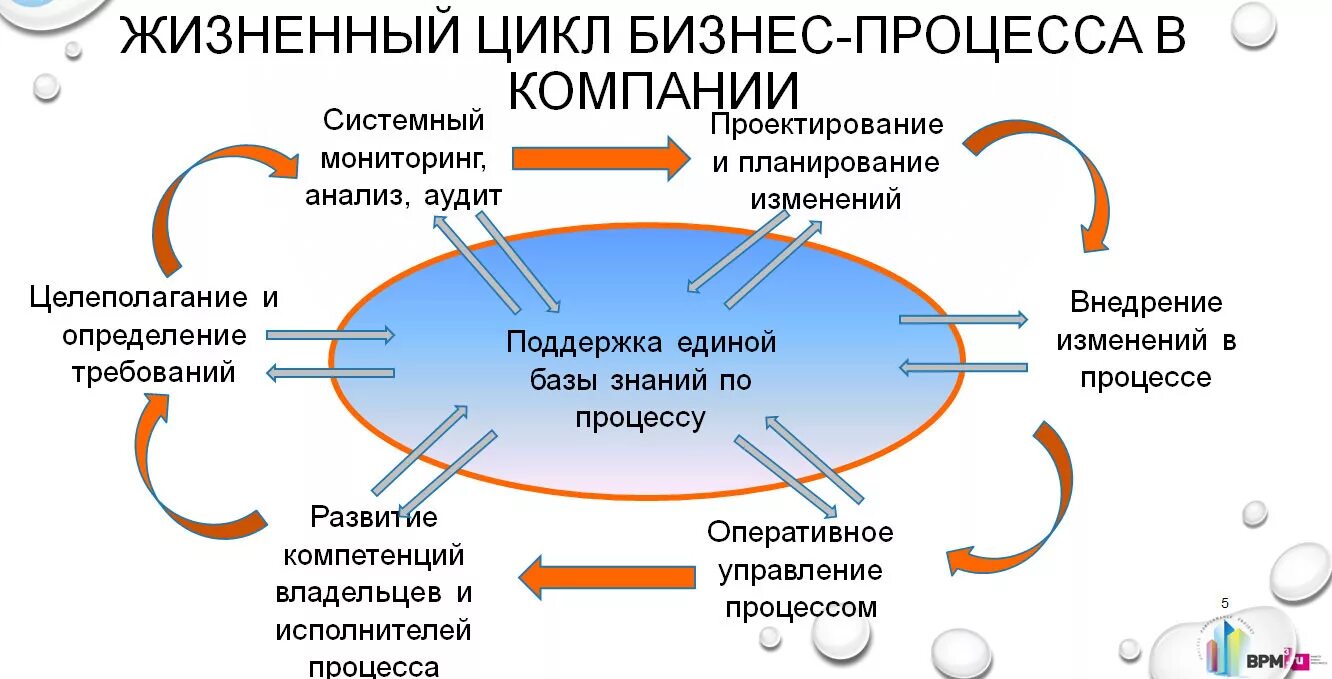 Описание жизненного цикла