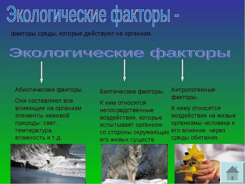 Естественное изменение условий обитания. Абиотические факторы- это экологические факторы среды. Абиотические экологические факторы примеры. Влияние абиотических факторов на организмы. Абиотический фактор это в экологии.