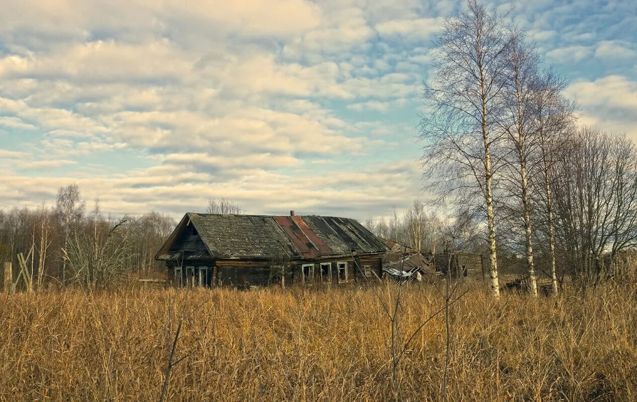 Село Вырец Тверская область. Деревня Тверская область. Деревни Тверской области. Деревня гачки Тверская область. Сено тверская область