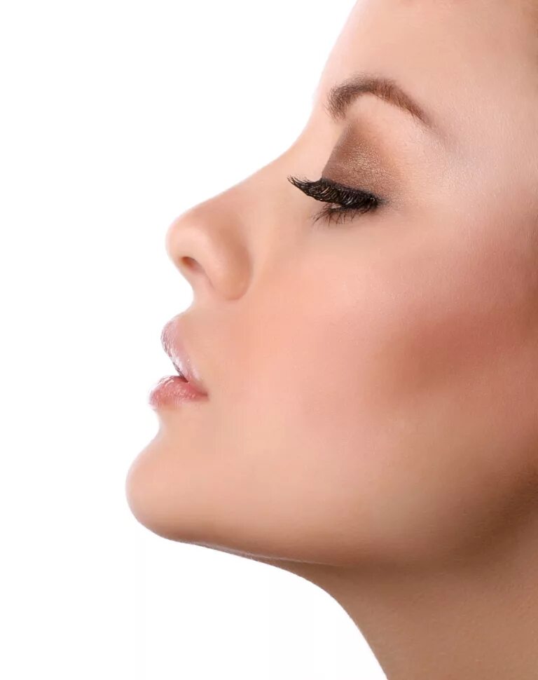 красивый подбородок. анджелина джоли в молодости в профиль. нос клипарт. идеальный нос. идеальный нос.