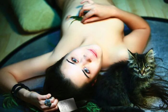 самые красивые киски девушек. девушка с кошкой на диване. фотосессия киски. красивые кисы девушек. милые киски.