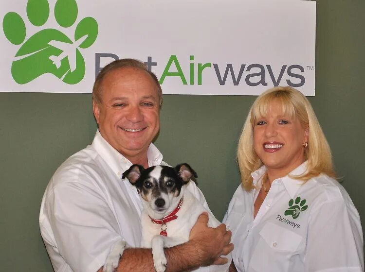 Pet Airways. Pets организации. Pet owners. Co-owner @Pets.Barber. Pet owner