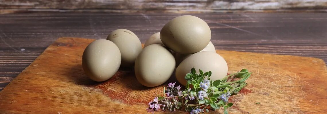 Почему лопаются яйца. Яйцо фазана. Яйцо фазана фото. Яйцо фазана и куриное. Размер яйца фазана.