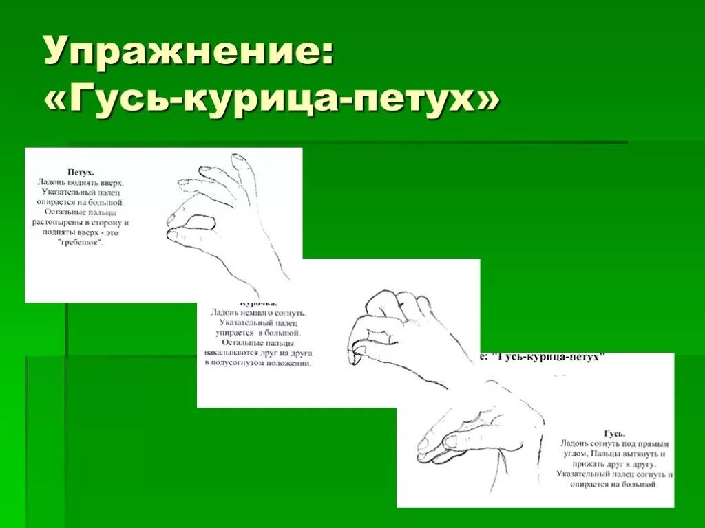 Кинезиологические упражнения для рук для дошкольников. Кинезиологические упражнения Гусь курица петух. Кинезиологические пальчиковые упражнения для дошкольников. Кинезиология упражнения для мозга для дошкольников.