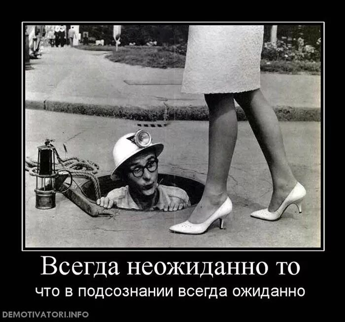 юмор в фотографиях. неожиданные снимки. неожиданно смешной. смешная неожиданная история. веселые ситуации.